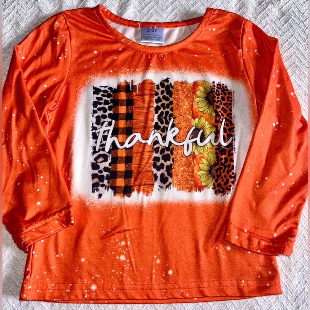 2-3T Thankful Shirt